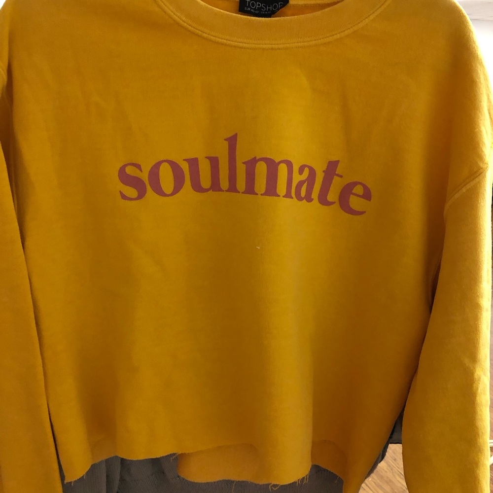 Top Shop Crop Sweatshirt